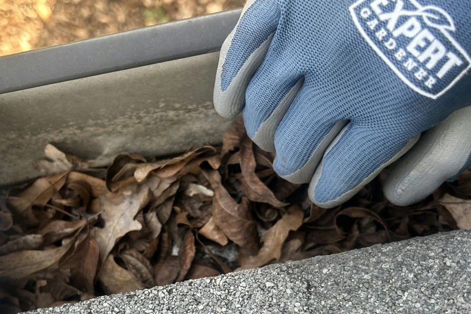 Gutter Cleaning Alamo Heights TX