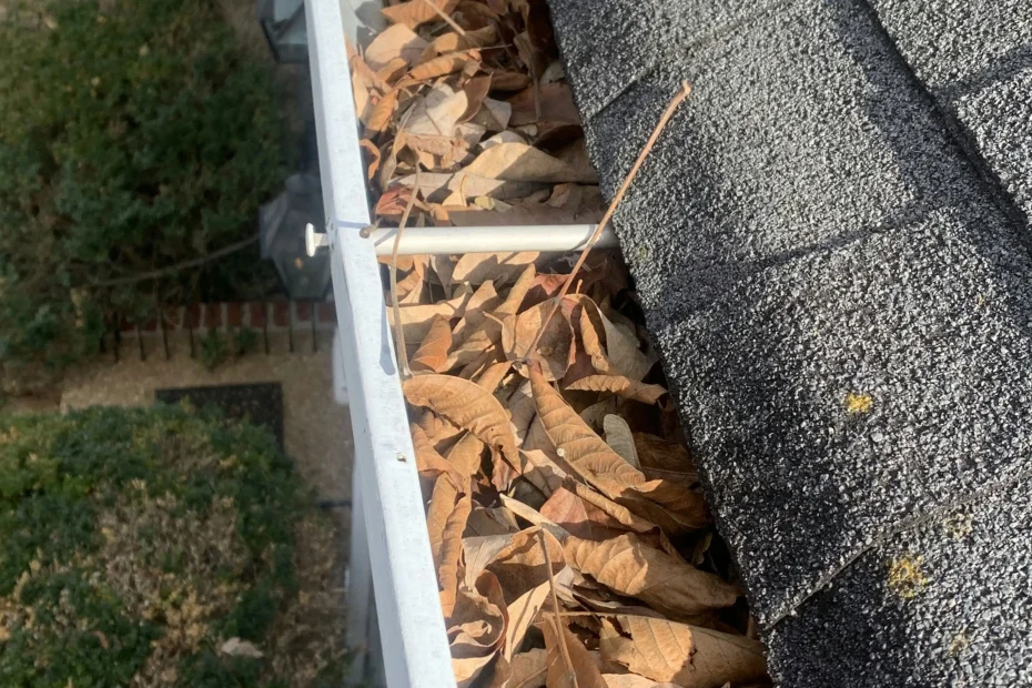 Gutter Cleaning Alamo Heights TX